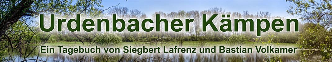 Urdenbacher Kaempen