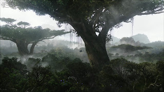 Rainforest HD WALLPapers