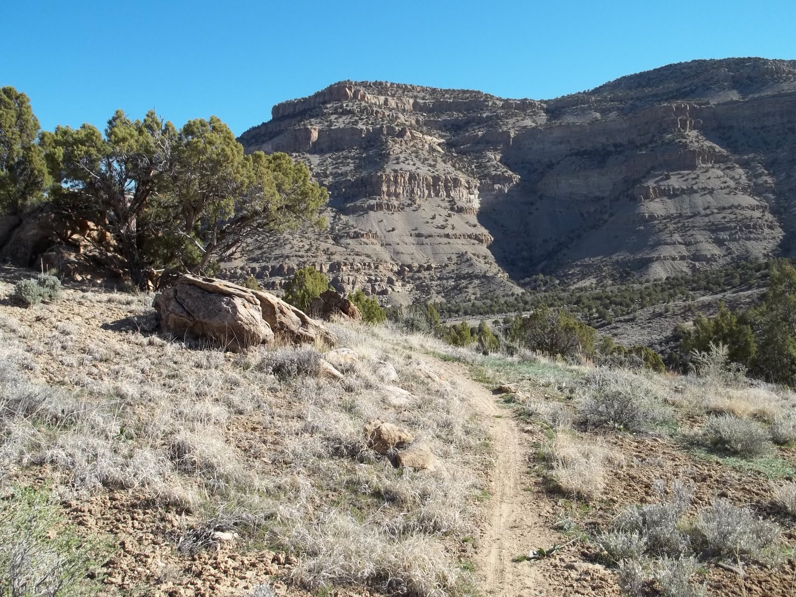 Palisade Rim via Rapid Creek