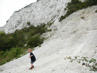 paulsgrove chalk cliff quarry