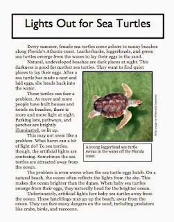 Information about turtle nests and eggs image