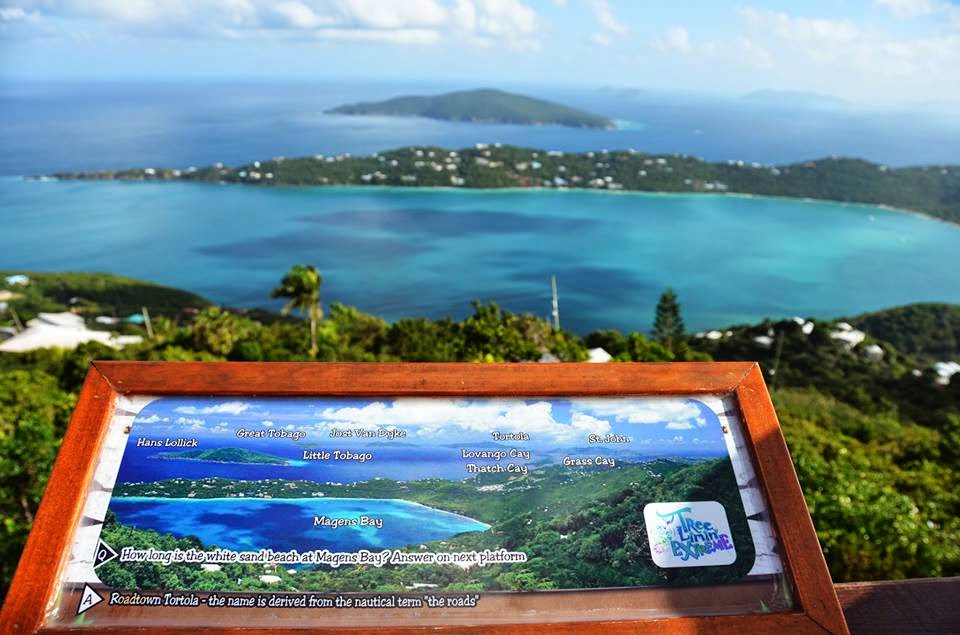 Tree Limin' Extreme Private Islands in the Virgin Islands