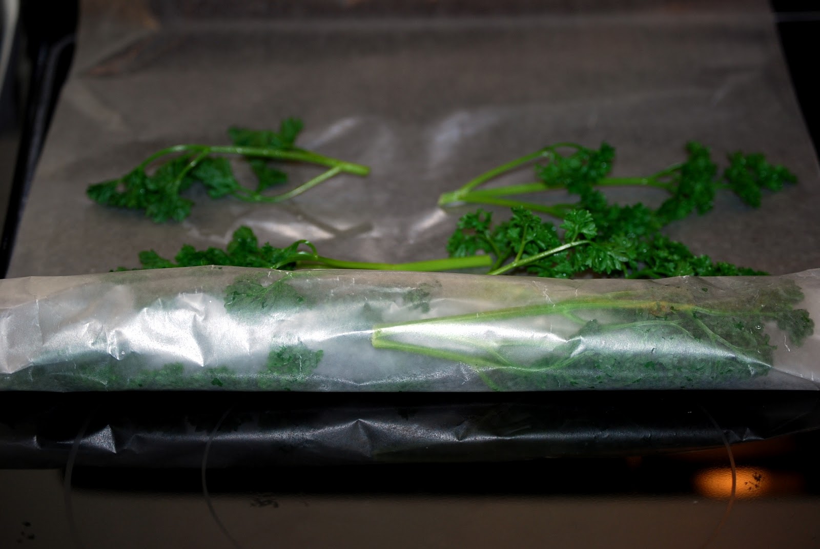 Homemaker's Journal Freezing Herbs