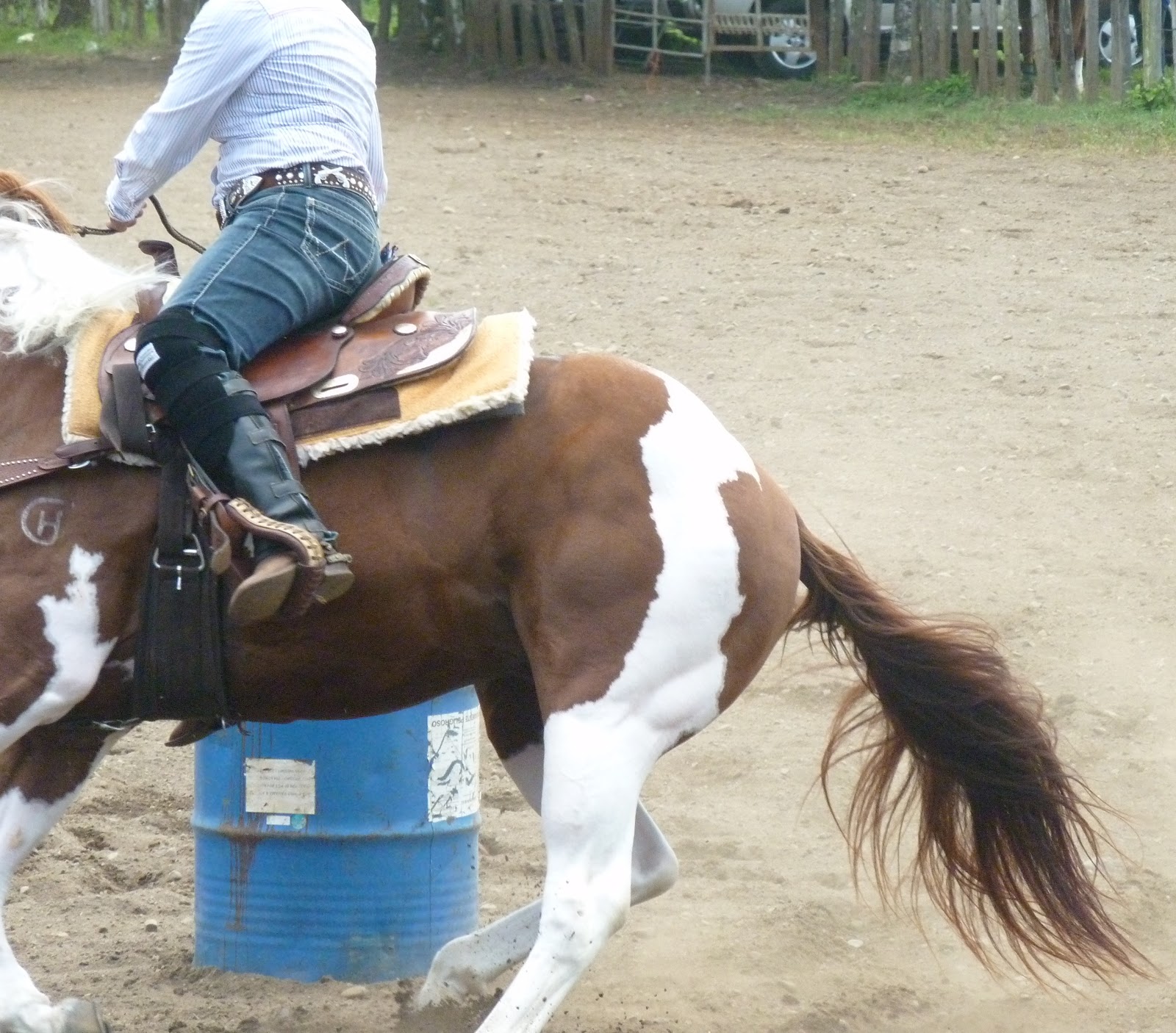 Horse Talk Panama Carreras de Barriles la Competencia Panamá•Barrel