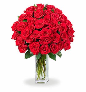 bloomex-red-roses
