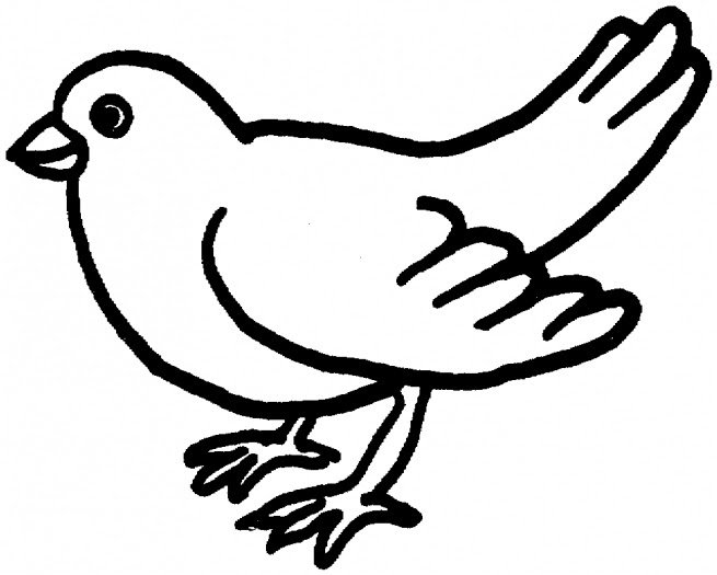 liltle dove coloring pages &gt;&gt; Disney Coloring Pages