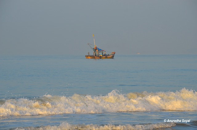 a different beach experience essay a different beach experience essay