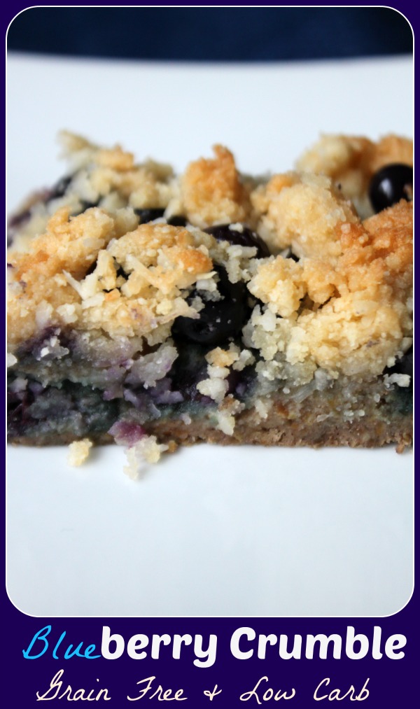 MamaEatsClean Egg, Dairy and Gluten Free Blueberry Crumble Candida