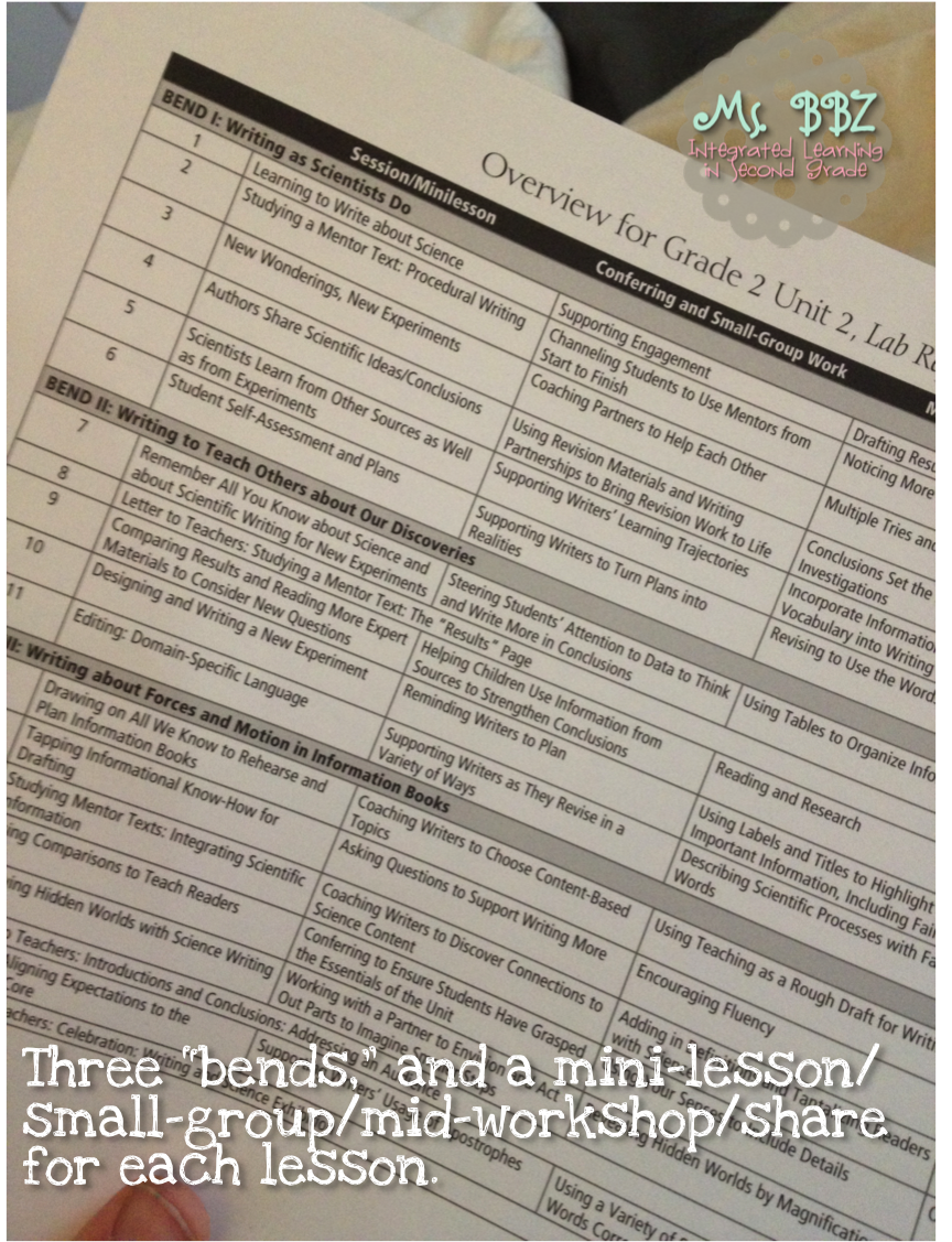 lucy calkins essay unit Lucy calkins units of study essay writing book 3 lesson # 1 collecting ideas as essayists minutes teacher behavior teaching point essayists observe and then grow. lucy calkins essay unit Lucy calkins units of study essay writing book 3 lesson # 1 collecting ideas as essayists minutes teacher behavior teaching point essayists observe and then grow.