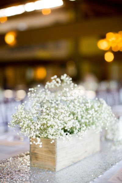 One Kuripot Bride Baby S Breath Perfect For The For My Bouquet I Wouldn T Mind Holding Something Like These