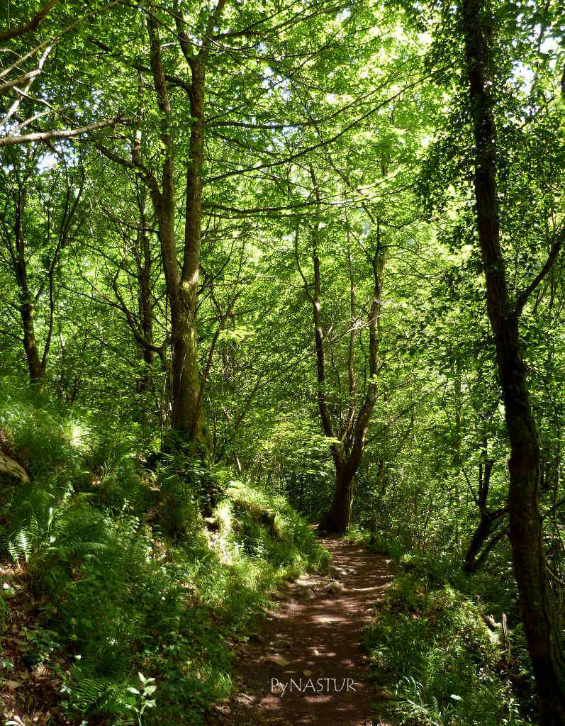 DESFILADERO DE LAS XANAS Asturias ( VILLANUEVA SANTO ADRIANO QUIROS