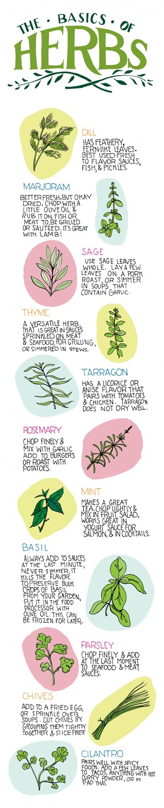 The Basic of Herbs