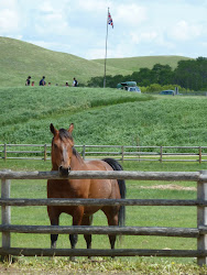 At Peak Dot Ranch