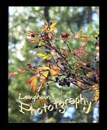 Leauphaun's Photography
