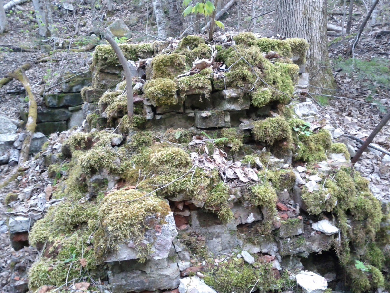 Adventures in Hobbit Land!