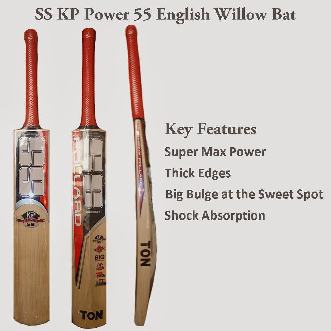Cricket Sports Information Cricket Bats Guide Cricket Equipment