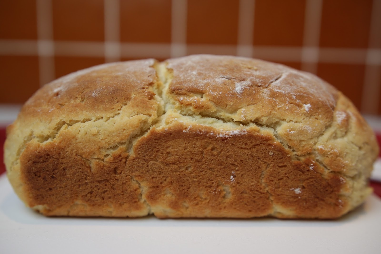 From the GlutenFree Balcony. Glutenfree Lab 2 White loaf with