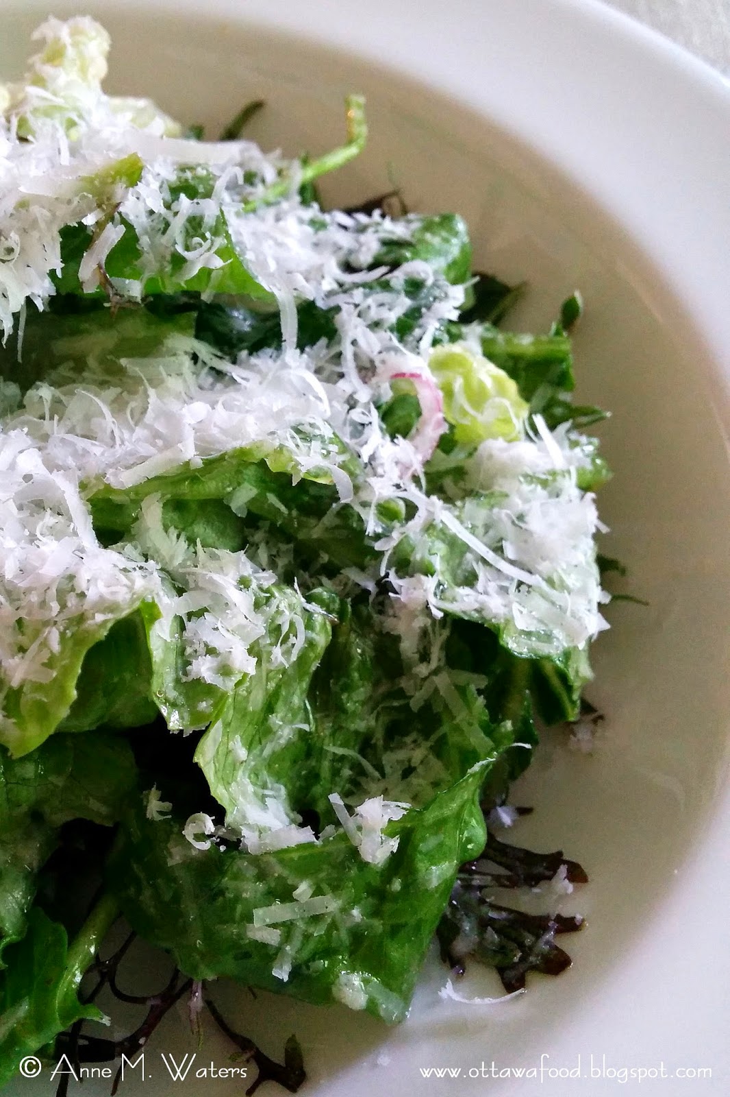 If Music be the Food of Love, Play On It's Kind of Like That Zippy