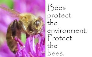 Save the Bees...