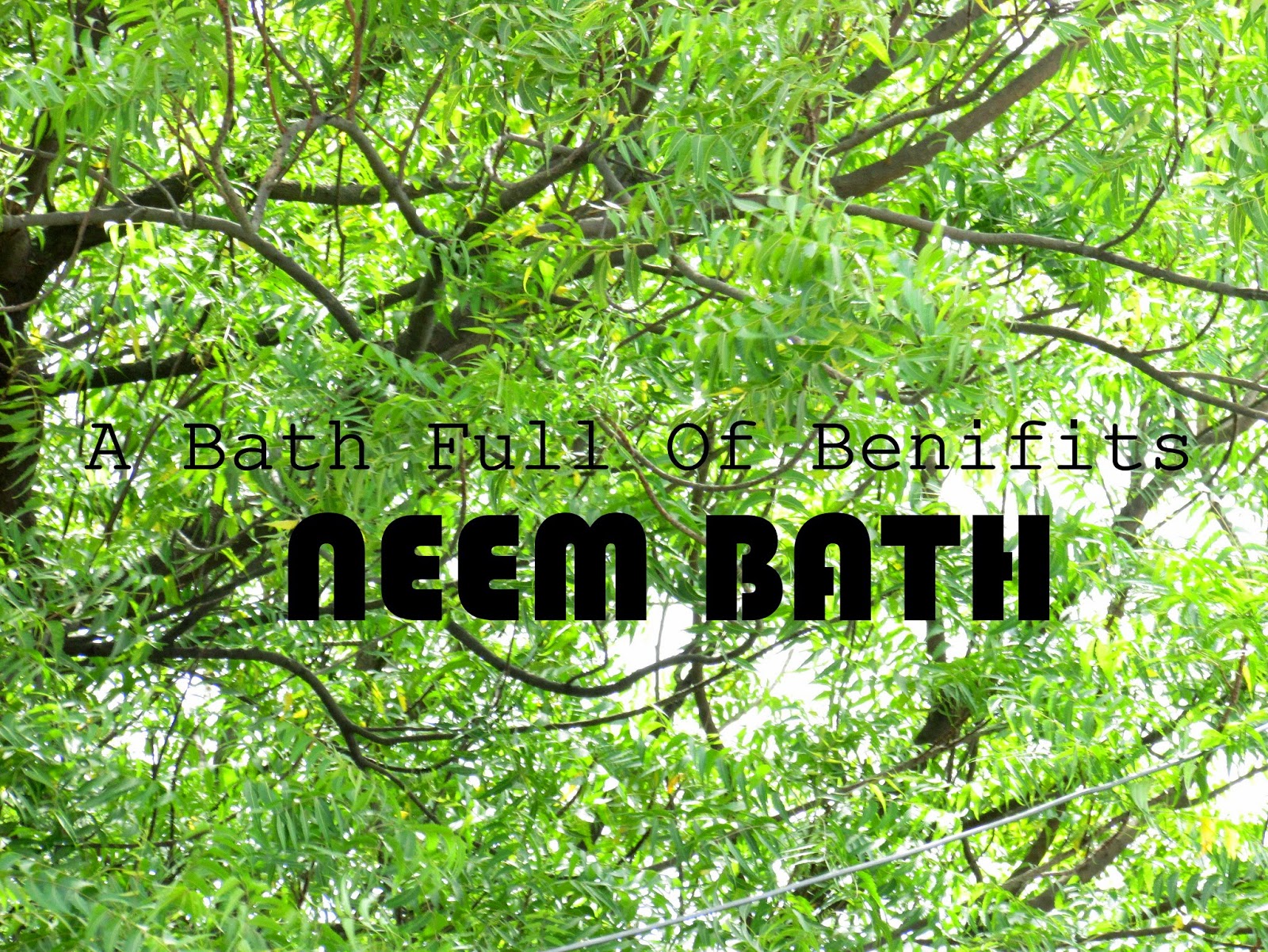 A DIY Bath Salt to relieve stress, tension , pain , body order. A all natural solution to smooth skin and detoxification. This aromatherapy bath salt help to replx, neem , neem bath , neem benifits , neem oil , neem leavs , neem tree , how to use neem , benifits of neem , behingits of using neem, how to use neem as a medicine, how to use neem , how to use neem leaves, how to make neem face pack , how to make neem soap , how to make neem bath sault , how to make neem oil , how to make neem facewash , how to make neem face oil