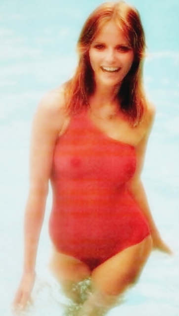 Cheryl+Tiegs+(9)