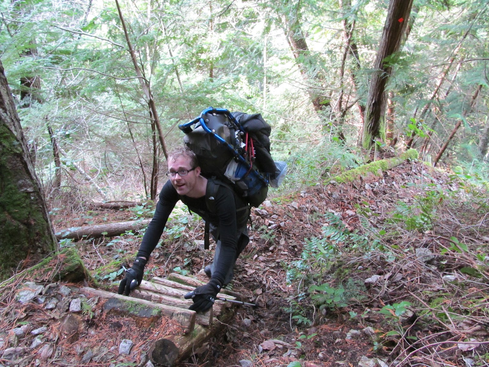 Sunshine Coast Trail in February