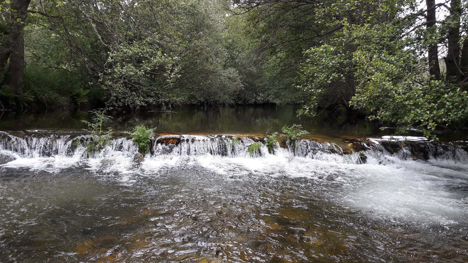 HISTORIA DE UN DÍA DE PESCA EN EL DUERNA.