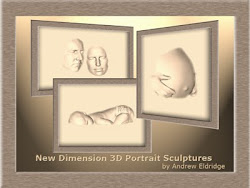 Framed 3D Portraits