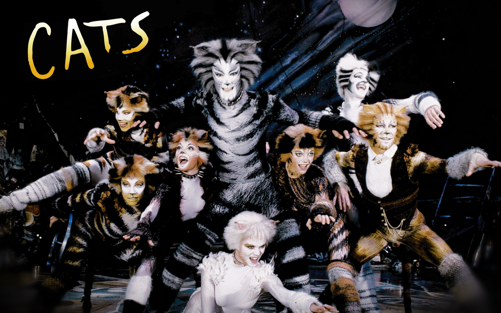 http://4.bp.blogspot.com/-ae_1j-ctWRs/Tbs-I45vCoI/AAAAAAAAAEA/EtZuBaiIFIE/s1600/cats_musical_wallpaper_1920x_by_artificialanimation.png