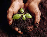 Sowing+seed
