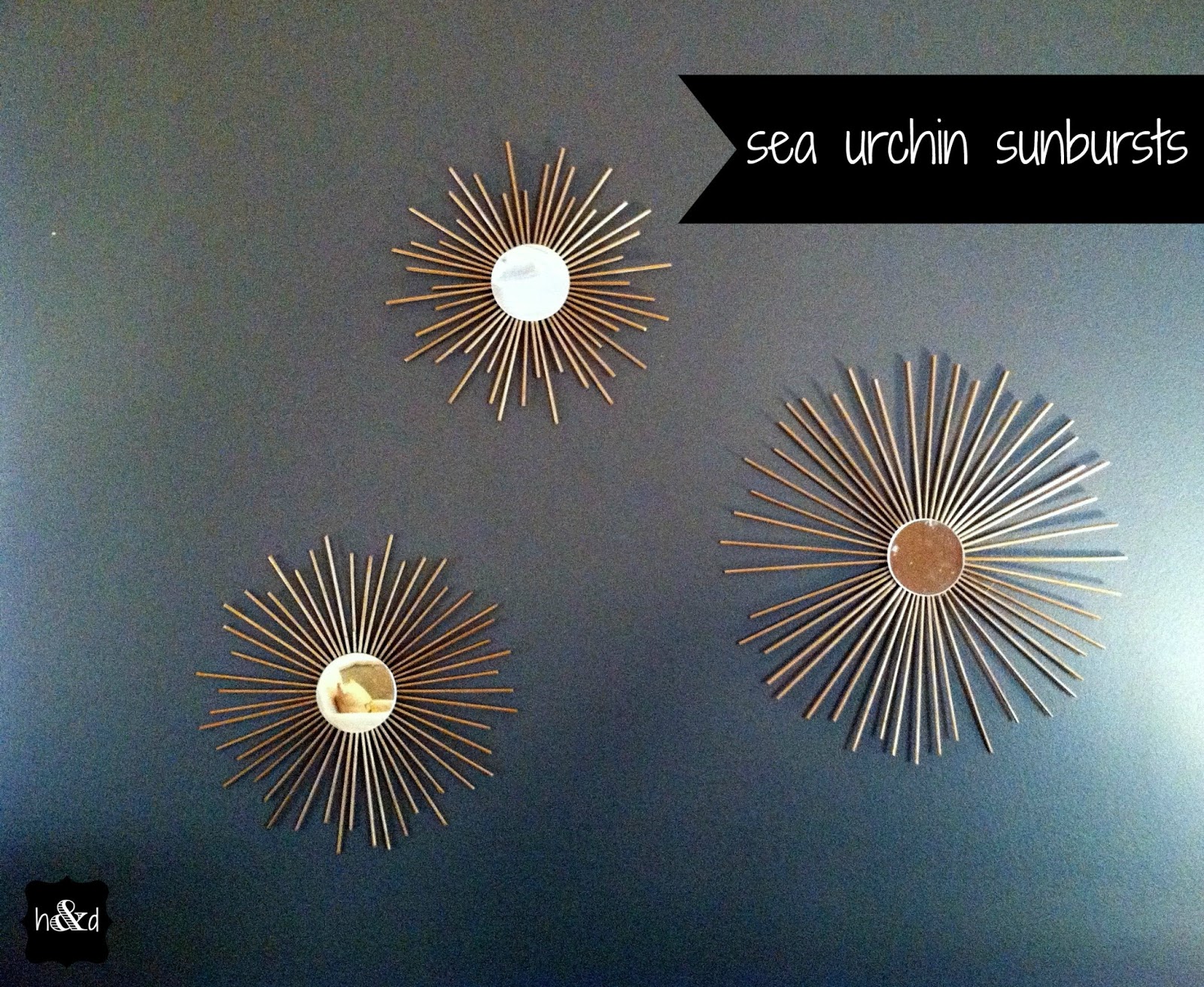hopes & dreams {diy} Sea Urchin Starburst
