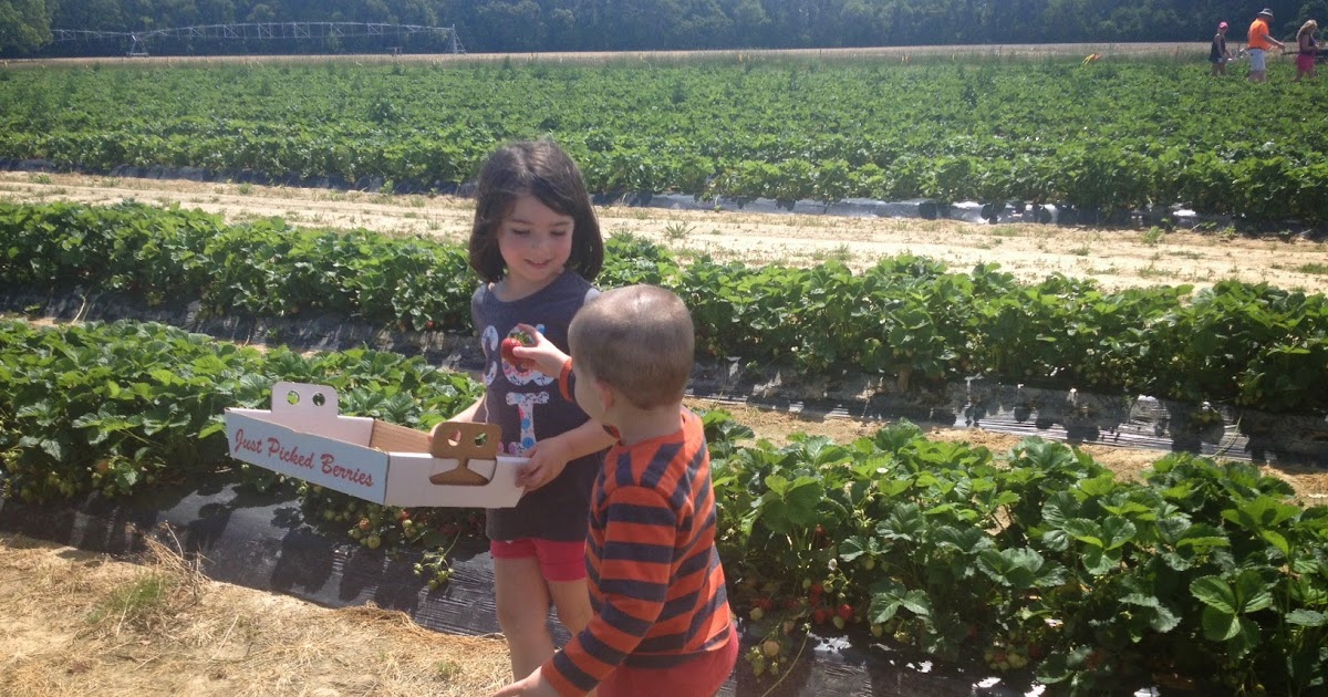 Two It Yourself How to Hull Strawberries With a Straw