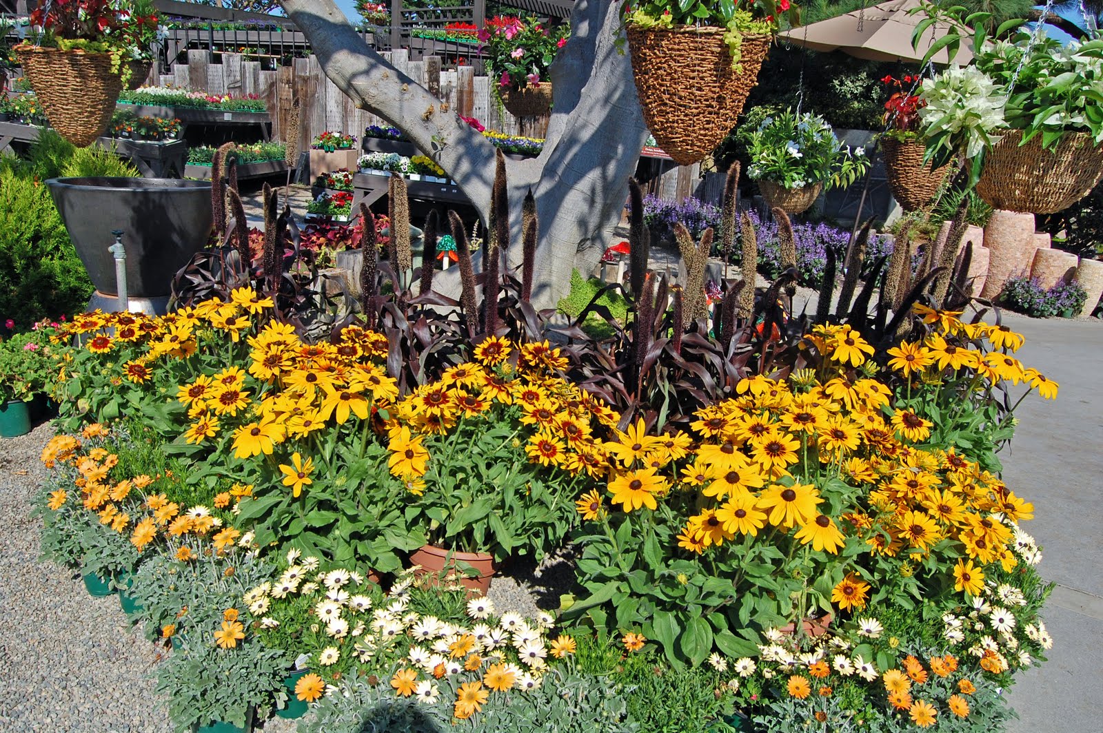 My Painted Garden: Fall Tour of Roger's Gardens
