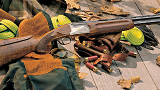 Gun