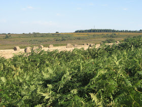 monts  d 'arré