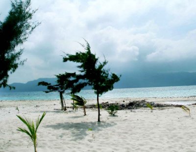 Karimun Nightlife