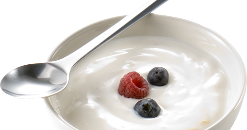 Yanjuz Laporan Fermentasi Yoghurt Cara Pembuatan Yoghurt
