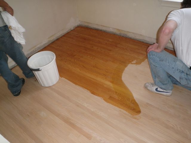 Misha And Mia Natural Wood Floor Refinishing