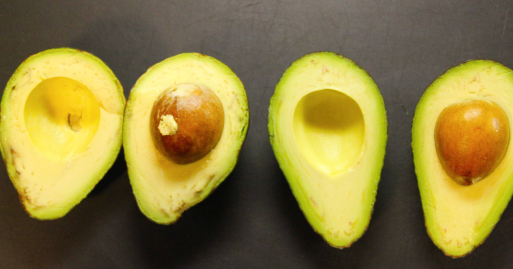 coffee with the hermit some avocado history for origin of avocado