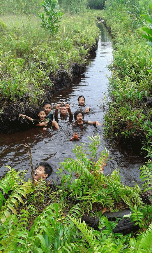 Gambar