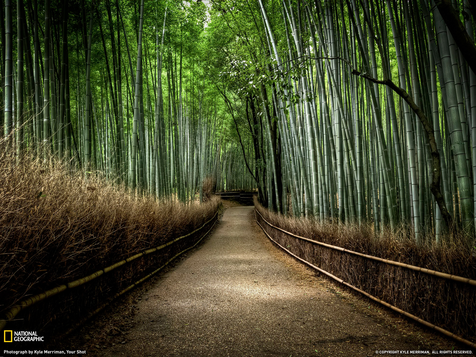 http://4.bp.blogspot.com/-aiLCVBZ9me0/USH56EXZpzI/AAAAAAAAC38/THEoF32ZJWw/s1600/natgeo+(5).jpg