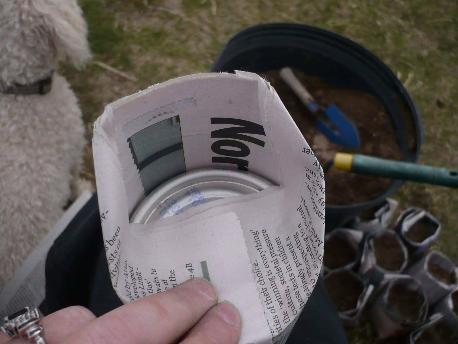 The Chicken Wire Newspaper Seed Starting Cups