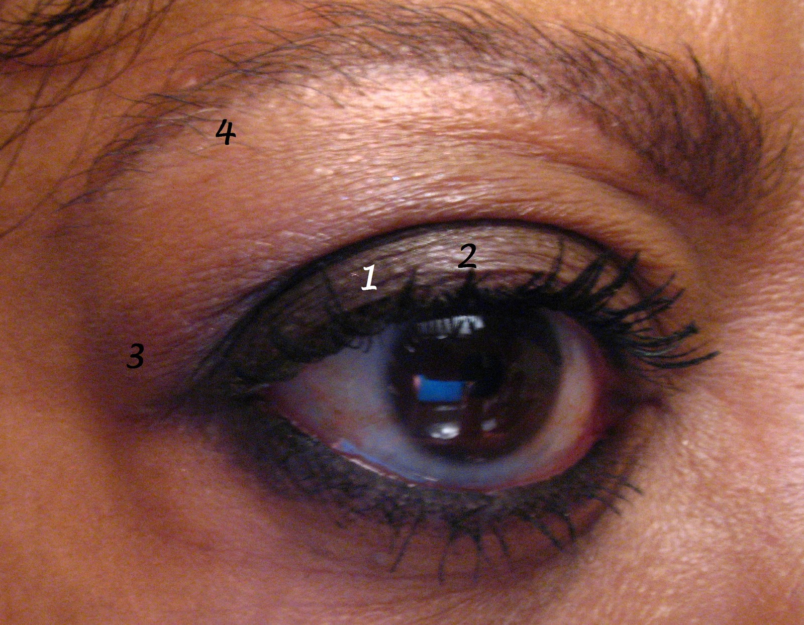 Creased Eyeshadow