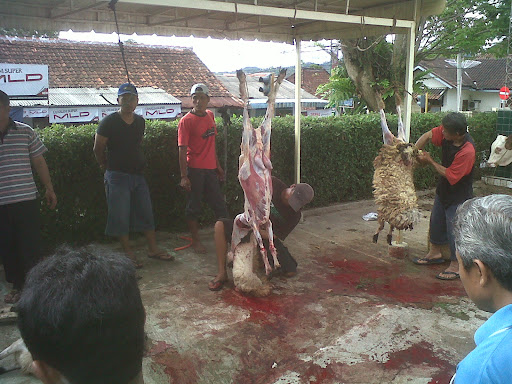 Qurban Yamsik - Happy Eid Al-Adha 1432 H