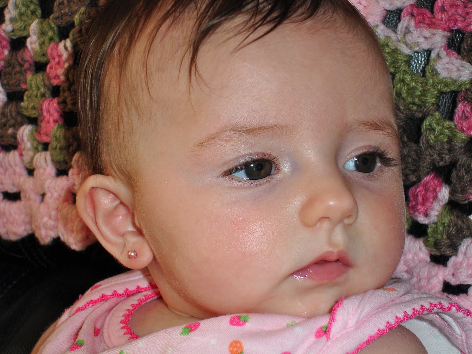 Dog's Eye View Getting my ears pierced!