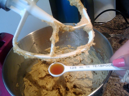 Teaspoon measures of vanilla essence