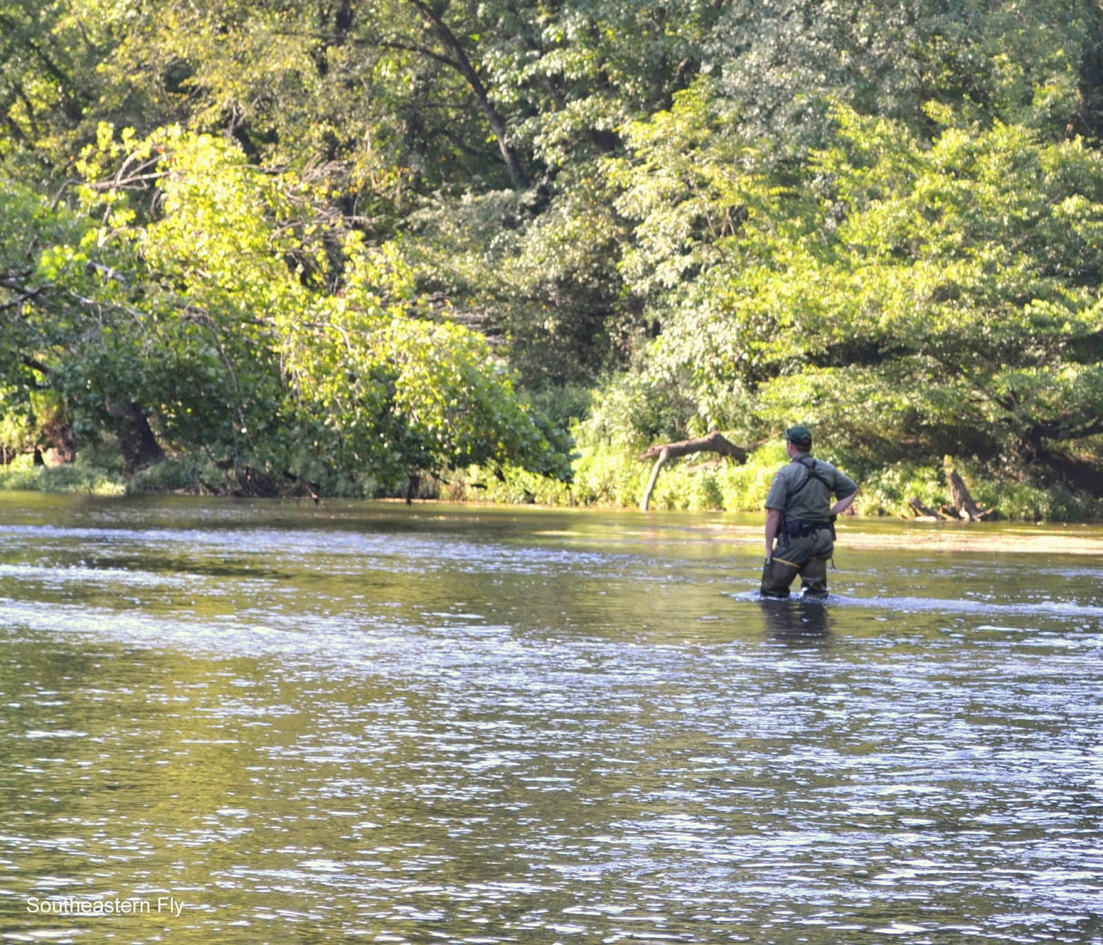 Southeastern Fly Elk River Fishing Report