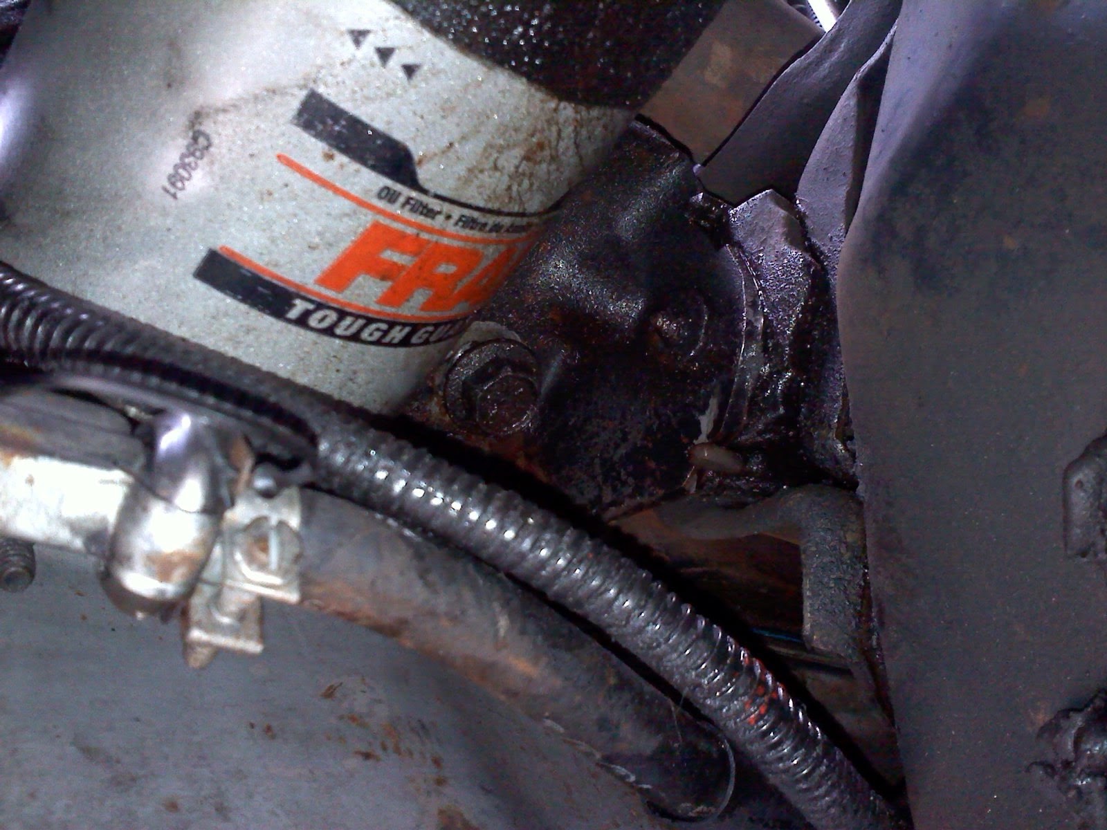 perich brothers (and sister) how to popping freeze plugs