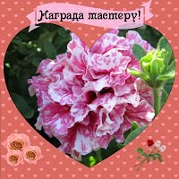 Мои награды