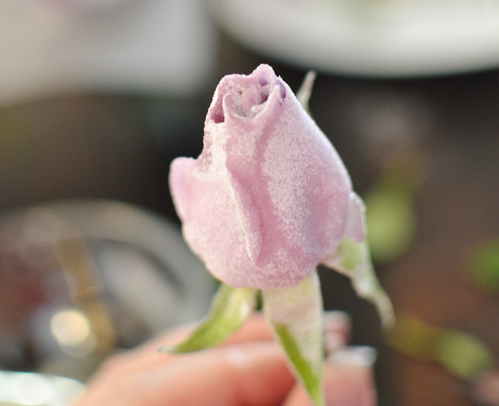 The Sew*er, The Caker, The CopyCat Maker: Crystalized Flowers How To